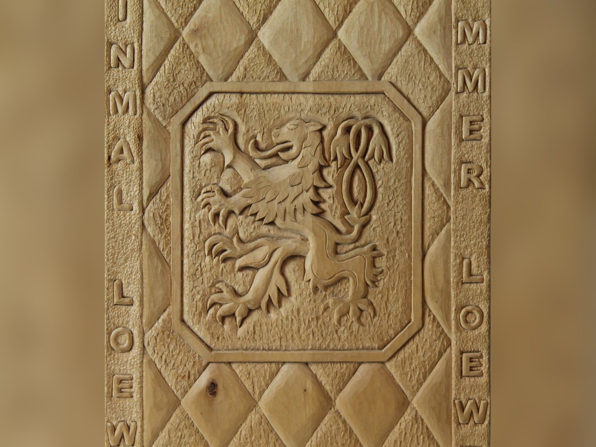 Löwe – Detailaufnahme